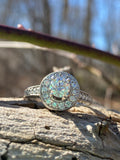 Special Listing. Do NOT buy